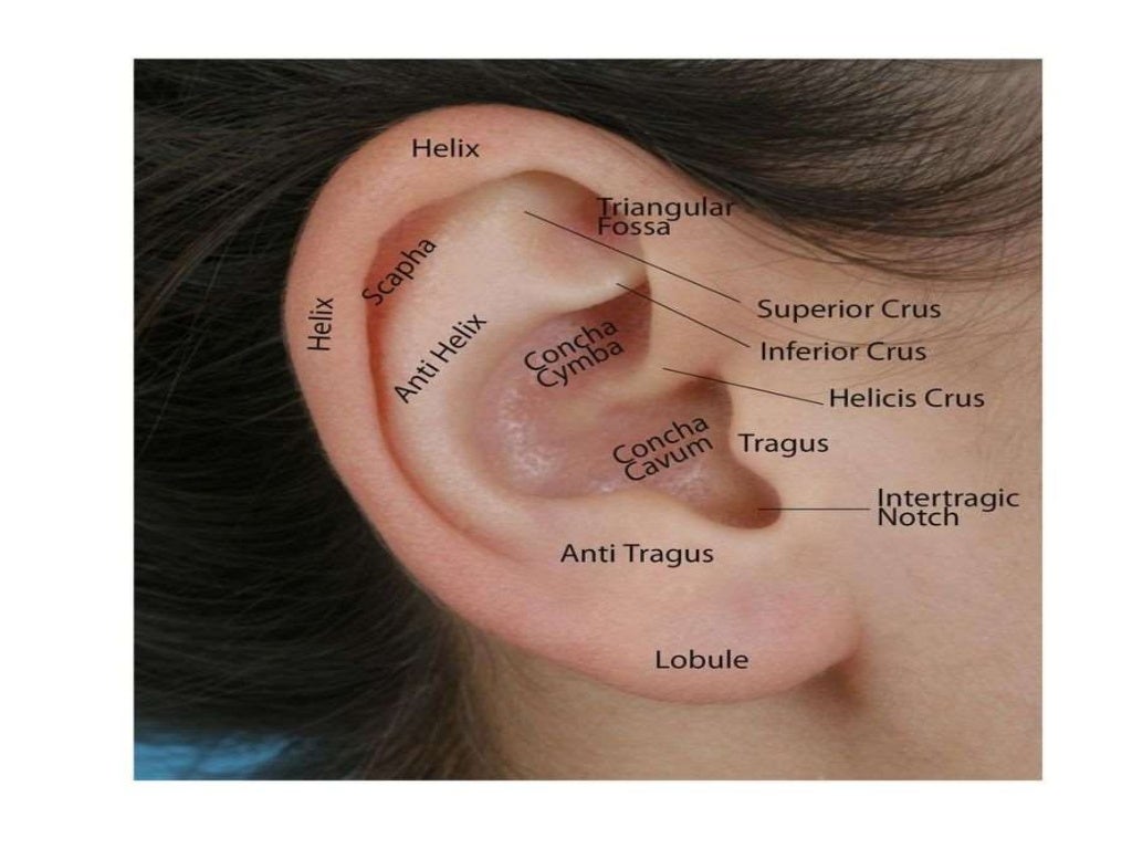Congenital malformation of external ear and it’s management