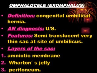OMPHALOCELE (EXOMPHALUS)
• Definition: congenital umbilical
hernia.
• AN diagnosis: U/S.
• Features: Semi translucent very
thin sac at site of umbilicus.
• Layers of the sac:
1. amniotic membrane
2. Wharton´ s jelly
3. peritoneum.
 