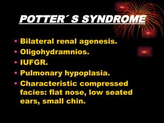 POTTER´ S SYNDROME
• Bilateral renal agenesis.
• Oligohydramnios.
• IUFGR.
• Pulmonary hypoplasia.
• Characteristic compressed
facies: flat nose, low seated
ears, small chin.
 