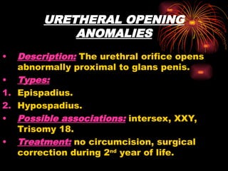 URETHERAL OPENING
ANOMALIES
• Description: The urethral orifice opens
abnormally proximal to glans penis.
• Types:
1. Epispadius.
2. Hypospadius.
• Possible associations: intersex, XXY,
Trisomy 18.
• Treatment: no circumcision, surgical
correction during 2nd
year of life.
 