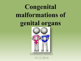Congenital
malformations of
genital organs
Mohamed Jammal
15.12.2014
 