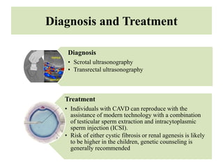 Congenital malformations of genital organs | PPTX