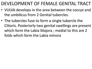 DEVELOPMENT OF FEMALE GENITAL TRACT
• VULVA develops in the area between the coccyx and
  the umbilicus from 2 Genital tubercles.
• The tubercles fuse to form a single tubercle the
  Clitoris. Posteriorly two genital swellings are present
  which form the Labia Majora ; medial to this are 2
  folds which form the Labia minora
 