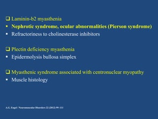  Laminin-b2 myasthenia
 Nephrotic syndrome, ocular abnormalities (Pierson syndrome)
 Refractoriness to cholinesterase inhibitors
 Plectin deficiency myasthenia
 Epidermolysis bullosa simplex
 Myasthenic syndrome associated with centronuclear myopathy
 Muscle histology

A.G. Engel / Neuromuscular Disorders 22 (2012) 99–111

 