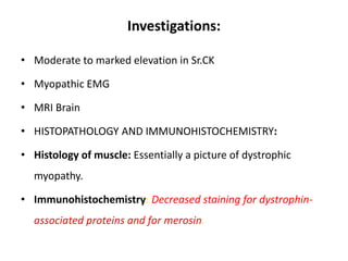 Investigations:
• Moderate to marked elevation in Sr.CK
• Myopathic EMG
• MRI Brain
• HISTOPATHOLOGY AND IMMUNOHISTOCHEMISTRY:
• Histology of muscle: Essentially a picture of dystrophic
myopathy.
• Immunohistochemistry: Decreased staining for dystrophin-
associated proteins and for merosin.
 