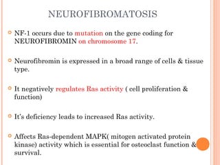 NEUROFIBROMATOSIS
 NF-1 occurs due to mutation on the gene coding for
NEUROFIBROMIN on chromosome 17.
 Neurofibromin is expressed in a broad range of cells & tissue
type.
 It negatively regulates Ras activity ( cell proliferation &
function)
 It’s deficiency leads to increased Ras activity.
 Affects Ras-dependent MAPK( mitogen activated protein
kinase) activity which is essential for osteoclast function &
survival.
 