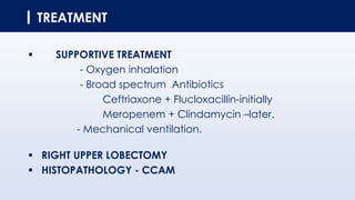 TREATMENT
▪ SUPPORTIVE TREATMENT
- Oxygen inhalation
- Broad spectrum Antibiotics
Ceftriaxone + Flucloxacillin-initially
Meropenem + Clindamycin –later.
- Mechanical ventilation.
▪ RIGHT UPPER LOBECTOMY
▪ HISTOPATHOLOGY - CCAM
 