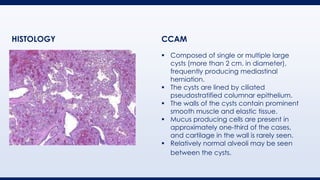 ▪ Composed of single or multiple large
cysts (more than 2 cm. in diameter),
frequently producing mediastinal
herniation.
▪ The cysts are lined by ciliated
pseudostratified columnar epithelium.
▪ The walls of the cysts contain prominent
smooth muscle and elastic tissue.
▪ Mucus producing cells are present in
approximately one-third of the cases,
and cartilage in the wall is rarely seen.
▪ Relatively normal alveoli may be seen
between the cysts.
HISTOLOGY CCAM
 