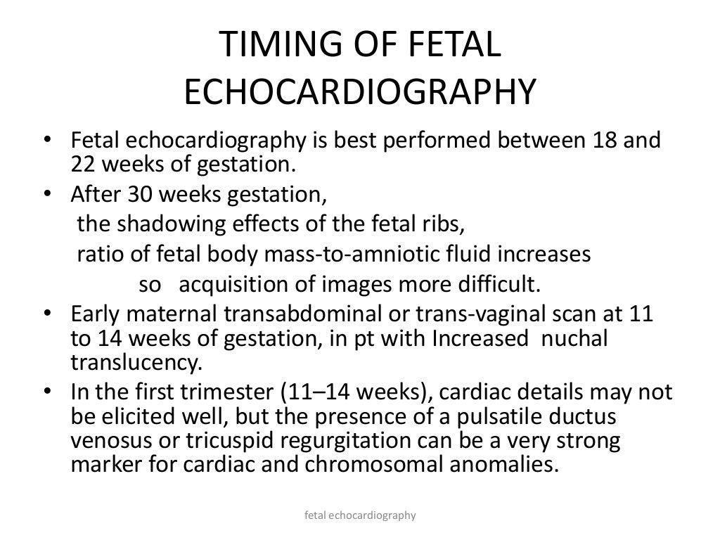 Fetal Echocardiography
