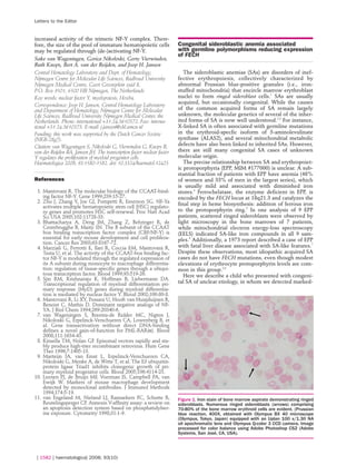 Letters to the Editor


increased activity of the trimeric NF-Y complex. There-
fore, the size of the pool of immature hematopoietic cells               Congenital sideroblastic anemia associated
may be regulated through (de-)activating NF-Y.                           with germline polymorphisms reducing expression
                                                                         of FECH
Sake van Wageningen, Gorica Nikoloski, Gerty Vierwinden,
Ruth Knops, Bert A. van der Reijden, and Joop H. Jansen
Central Hematology Laboratory and Dept. of Hematology,                      The sideroblastic anemias (SAs) are disorders of inef-
Nijmegen Centre for Molecular Life Sciences, Radboud University          fective erythropoiesis, collectively characterized by
Nijmegen Medical Centre, Geert Grooteplein zuid 8,                       abnormal Prussian blue-positive granules (i.e., iron-
P.O. Box 9101, 6500 HB Nijmegen, The Netherlands                         stuffed mitochondria) that encircle marrow erythroblast
Key words: nuclear factor Y, myelopoiesis, Hoxb4.                        nuclei to form ringed sideroblast cells.1 SAs are usually
                                                                         acquired, but occasionally congenital. While the causes
Correspondence: Joop H. Jansen, Central Hematology Laboratory
and Department of Hematology, Nijmegen Centre for Molecular              of the common acquired forms of SA remain largely
Life Sciences, Radboud University Nijmegen Medical Center, the           unknown, the molecular genetics of several of the inher-
Netherlands. Phone: international +31.24.3610372. Fax: interna-          ited forms of SA is now well understood.2,3 For instance,
tional +31.24.3610373. E-mail: j.jansen@chl.umcn.nl                      X-linked SA is often associated with germline mutations
Funding: this work was supported by the Dutch Cancer Society             in the erythroid-specfic isoform of 5-aminolevulinate
(NKB-28g7).                                                              synthase (ALAS2), and several mitochondrial metabolic
Citation: van Wageningen S, Nikoloski G, Vierwinden G, Knops R,          defects have also been linked to inherited SAs. However,
van der Reijden BA, Jansen JH. The transcription factor nuclear factor   there are still many congenital SA cases of unknown
Y regulates the proliferation of myeloid progenitor cells.               molecular origin.
Haematologica 2008; 93:1580-1582. doi: 10.3324/haematol.12425               The precise relationship between SA and erythropoiet-
                                                                         ic protoporphyria (EPP, MIM #177000) is unclear. A sub-
                                                                         stantial fraction of patients with EPP have anemia (48%
References                                                               of women and 33% of men in the largest series), which
                                                                         is usually mild and associated with diminished iron
 1. Mantovani R. The molecular biology of the CCAAT-bind-                stores.4 Ferrochelatase, the enzyme deficient in EPP, is
    ing factor NF-Y. Gene 1999;239:15-27.                                encoded by the FECH locus at 18q21.3 and catalyzes the
 2. Zhu J, Zhang Y, Joe GJ, Pompetti R, Emerson SG. NF-Ya                final step in heme biosynthesis: addition of ferrous iron
    activates multiple hematopoietic stem cell (HSC) regulato-
    ry genes and promotes HSC self-renewal. Proc Natl Acad               to the protoporphyrin ring.5 In one analysis of 9 EPP
    Sci USA 2005;102:11728-33.                                           patients, scattered ringed sideroblasts were observed by
 3. Bhattacharya A, Deng JM, Zhang Z, Behringer R, de                    light microscopy in the bone marrows of 7 patients,
    Crombrugghe B, Maity SN. The B subunit of the CCAAT                  while mitochondrial electron energy-loss spectroscopy
    box binding transcription factor complex (CBF/NF-Y) is               (EELS) indicated SA-like iron compounds in all 9 sam-
    essential for early mouse development and cell prolifera-            ples.6 Additionally, a 1973 report described a case of EPP
    tion. Cancer Res 2003;63:8167-72.
 4. Marziali G, Perrotti E, Ilari R, Coccia EM, Mantovani R,             with fatal liver disease associated with SA-like features. 7
    Testa U, et al. The activity of the CCAAT-box binding fac-           Despite these observations, most idiopathic acquired SA
    tor NF-Y is modulated through the regulated expression of            cases do not have FECH mutations, even though modest
    its A subunit during monocyte to macrophage differentia-             elevations of erythrocyte protoporphyrin levels are com-
    tion: regulation of tissue-specific genes through a ubiqui-          mon in this group.3,8
    tous transcription factor. Blood 1999;93:519-26.                        Here we describe a child who presented with congeni-
 5. Sjin RM, Krishnaraju K, Hoffman B, Liebermann DA.
    Transcriptional regulation of myeloid differentiation pri-           tal SA of unclear etiology, in whom we detected marked-
    mary response (MyD) genes during myeloid differentia-
    tion is mediated by nuclear factor Y. Blood 2002;100:80-8.
 6. Mantovani R, Li XY, Pessara U, Hooft van Huisjduijnen R,
    Benoist C, Mathis D. Dominant negative analogs of NF-
    YA. J Biol Chem 1994;269:20340-6.
 7. van Wageningen S, Breems-de Ridder MC, Nigten J,
    Nikoloski G, Erpelinck-Verschueren CA, Lowenberg B, et
    al. Gene transactivation without direct DNA-binding
    defines a novel gain-of-function for PML-RAR{α}. Blood
    2008;111:1634-43.
 8. Kinsella TM, Nolan GP. Episomal vectors rapidly and sta-
    bly produce high-titer recombinant retrovirus. Hum Gene
    Ther 1996;7:1405-13.
 9. Marteijn JA, van Emst L, Erpelinck-Verschueren CA,
    Nikoloski G, Menke A, de Witte T, et al. The E3 ubiquitin-
    protein ligase Triad1 inhibits clonogenic growth of pri-
    mary myeloid progenitor cells. Blood 2005;106:4114-23.
10. Leenen PJ, de Bruijn MF, Voerman JS, Campbell PA, van
    Ewijk W. Markers of mouse macrophage development
    detected by monoclonal antibodies. J Immunol Methods
    1994;174:5-19.
11. van Engeland M, Nieland LJ, Ramaekers FC, Schutte B,                 Figure 1. Iron stain of bone marrow aspirate demonstrating ringed
    Reutelingsperger CP. Annexin V-affinity assay: a review on           sideroblasts. Numerous ringed sideroblasts (arrows) comprising
    an apoptosis detection system based on phosphatidylser-              70-80% of the bone marrow erythroid cells are evident. (Prussian
    ine exposure. Cytometry 1998;31:1-9.                                 blue reaction, 400X, obtained with Olympus BX 40 microscope
                                                                         (Olympus, Tokyo, Japan) equipped with an Uplan 100 x/1.30 NA
                                                                         oil apochromatic lens and Olympus Q-color 3 CCD camera. Image
                                                                         processed for color balance using Adobe Photoshop CS2 (Adobe
                                                                         Systems, San José, CA, USA).




 | 1582 | haematologica| 2008; 93(10)
 