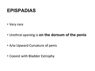 Congenital surgical diseases of urinary tract | PPTX