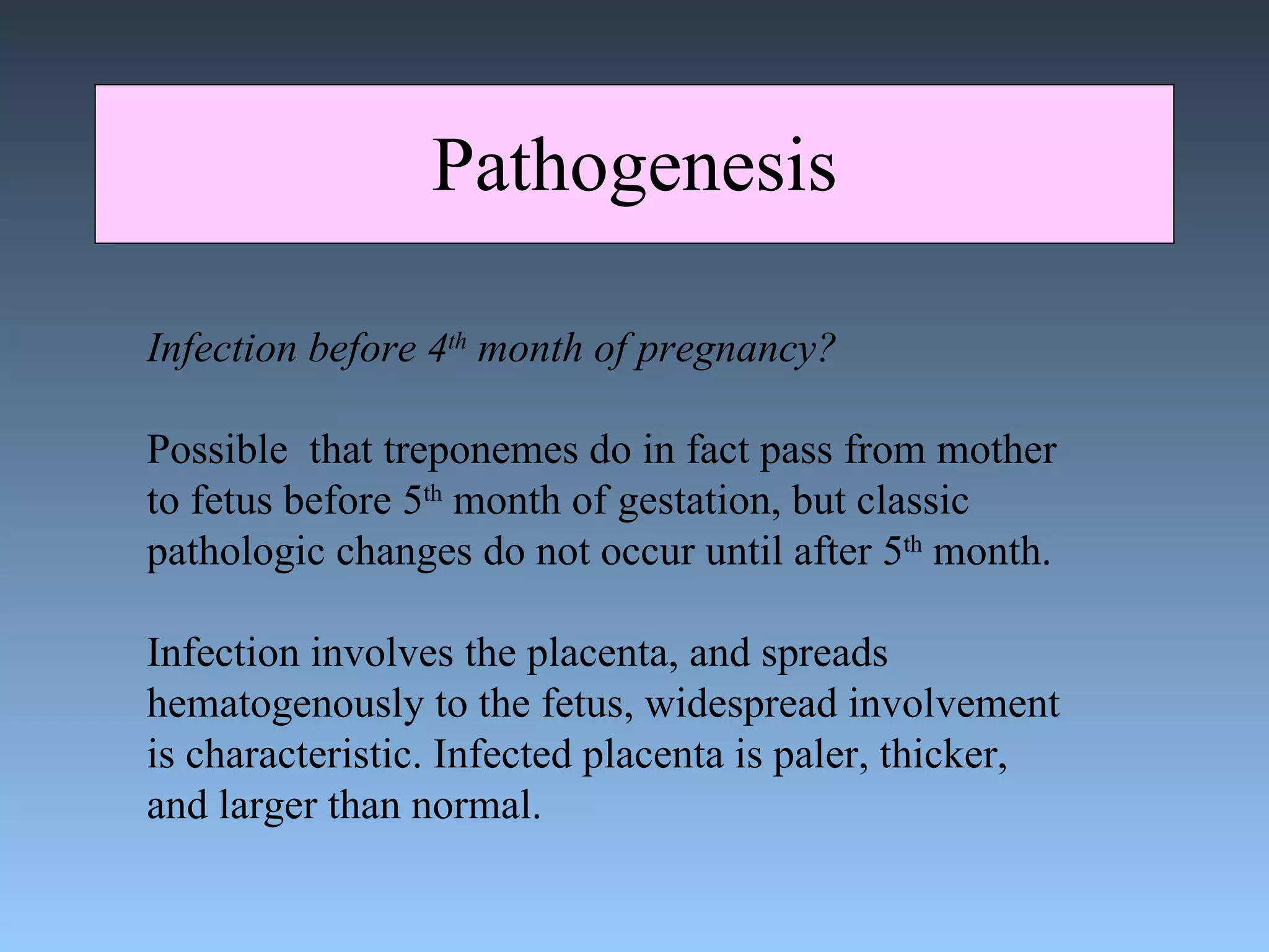 Pathogenesis Infection before 4 th  month of pregnancy? Possible  that treponemes do in fact pass from mother to fetus before 5 th  month of gestation, but classic pathologic changes do not occur until after 5 th  month. Infection involves the placenta, and spreads  hematogenously to the fetus, widespread involvement is characteristic. Infected placenta is paler, thicker, and larger than normal. 