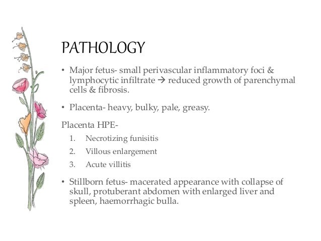 Congenital Syphilis - Dermatology
