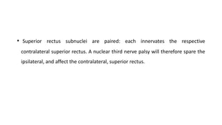 • Superior rectus subnuclei are paired: each innervates the respective
contralateral superior rectus. A nuclear third nerve palsy will therefore spare the
ipsilateral, and affect the contralateral, superior rectus.
 