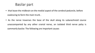 Basilar part
• that leave the midbrain on the medial aspect of the cerebral peduncle, before
coalescing to form the main trunk .
• As the nerve traverses the base of the skull along its subarachnoid course
unaccompanied by any other cranial nerve, an isolated third nerve palsy is
commonly basilar. The following are important causes
 
