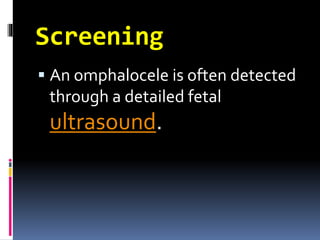 Screening 
 An omphalocele is often detected 
through a detailed fetal 
ultrasound. 
 