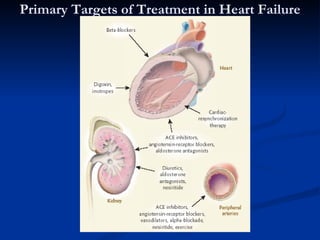 Primary Targets of Treatment in Heart Failure 