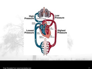 Free Template from www.brainybetty.com 7
 