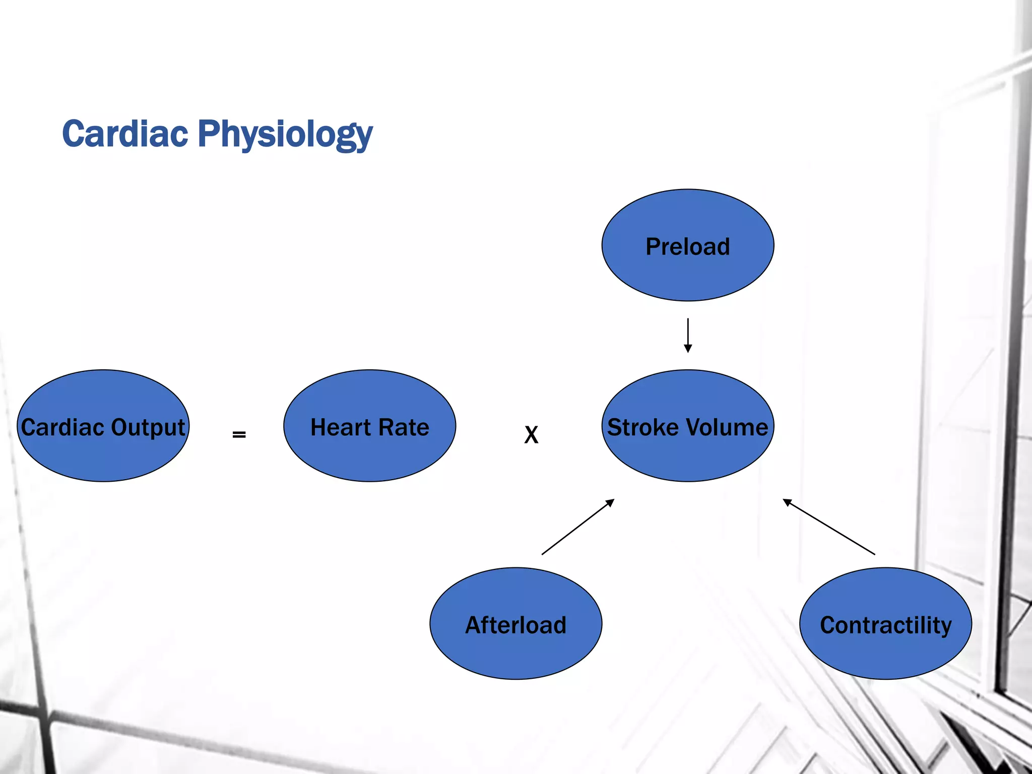 Cardiac Physiology
Cardiac Output
Preload
Afterload Contractility
Heart Rate Stroke Volume= X
 