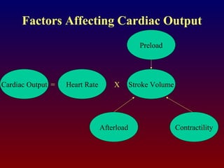 Factors Affecting Cardiac Output
Cardiac Output
Preload
Afterload Contractility
Heart Rate Stroke Volume= X
 