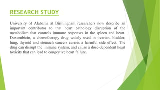 RESEARCH STUDY
University of Alabama at Birmingham researchers now describe an
important contributor to that heart pathology disruption of the
metabolism that controls immune responses in the spleen and heart.
Doxorubicin, a chemotherapy drug widely used in ovarian, bladder,
lung, thyroid and stomach cancers carries a harmful side effect. The
drug can disrupt the immune system, and cause a dose-dependent heart
toxicity that can lead to congestive heart failure.
 