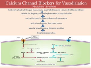 Inner Blocker Drugs for Congestive Heart Failure | PPTX