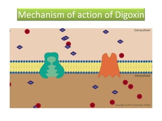 Mechanism of action of Digoxin
 