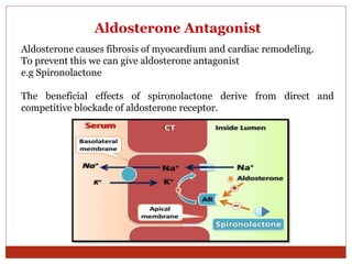 Aldosterone Antagonist
Aldosterone causes fibrosis of myocardium and cardiac remodeling.
To prevent this we can give aldosterone antagonist
e.g Spironolactone
The beneficial effects of spironolactone derive from direct and
competitive blockade of aldosterone receptor.
 