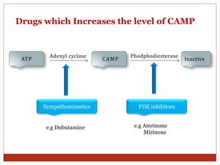 ATP CAMP Inactive
Adenyl cyclase Phodphodiesterase
Sympathomimetics PDE inhibitors
e.g Dobutamine e.g Amrinone
Mirinone
Drugs which Increases the level of CAMP
 