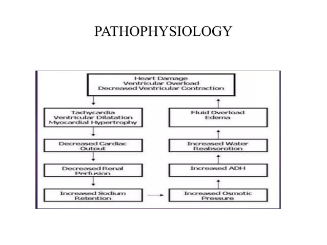 Congestive Heart Failure Pathophysiology | PPT