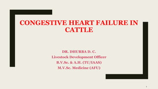CONGESTIVE HEART FAILURE IN
CATTLE
DR. DHURBA D. C.
Livestock Development Officer
B.V.Sc. & A.H. (TU/IAAS)
M.V.Sc. Medicine (AFU)
1
 