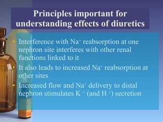 Principles important for understanding effects of diuretics Interference with Na +  reabsorption at one nephron site interferes with other renal functions linked to it It also leads to increased Na +  reabsorption at other sites Increased flow and Na +  delivery to distal nephron stimulates K  +  (and H  + ) secretion 