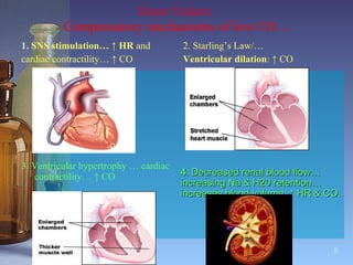 Heart Failure  Compensatory mechanisms of low CO… 1.  SNS stimulation…  ↑  HR  and  cardiac contractility…  ↑  CO 3. Ventricular hypertrophy … cardiac contractility… ↑ CO 2. Starling’s Law/… Ventricular dilation :  ↑  CO  4 . Decreased renal blood flow…increasing Na & H20 retention…increases blood volume, ↑ HR & CO. 