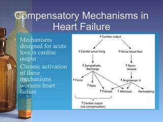 Compensatory Mechanisms in Heart Failure Mechanisms designed for acute loss in cardiac output Chronic activation of these mechanisms worsens heart failure 