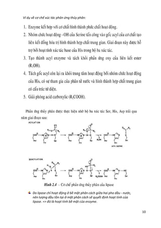 10
Ví dụ về cơ chế xúc tác phản ứng thủy phân:
Do lipase chỉ hoạt động ở bề mặt phân cách giữa hai pha dầu - nước,
nên lượng dầu tồn tại ở mặt phân cách sẽ quyết định hoạt tính của
lipase. => đó là hoạt tính bề mặt của enzyme.
 