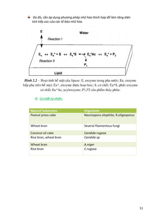 11
Do đó, cần áp dụng phương pháp nhũ hóa thích hợp để làm tăng diện
tích tiếp xúc của các tế bào nhũ hóa.
d) Cơ chất tự nhiên.
Natural Substrates Organisms
Peanut press cake Neurospora sitophita, R.oligosporus
Wheat bran Several filamentous fungi
Coconut oil cake Candida rugosa
Rice bran, wheat bran Candida sp.
Wheat bran A.niger
Rice bran C.rugosa
 