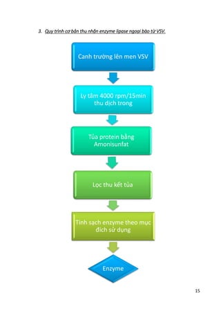 15
3. Quy trình cơ bản thu nhận enzyme lipase ngoại bào từ VSV.
Canh trường lên men VSV
Ly tâm 4000 rpm/15min
thu dịch trong
Tủa protein bằng
Amonisunfat
Lọc thu kết tủa
Tinh sạch enzyme theo mục
đích sử dụng
Enzyme
 