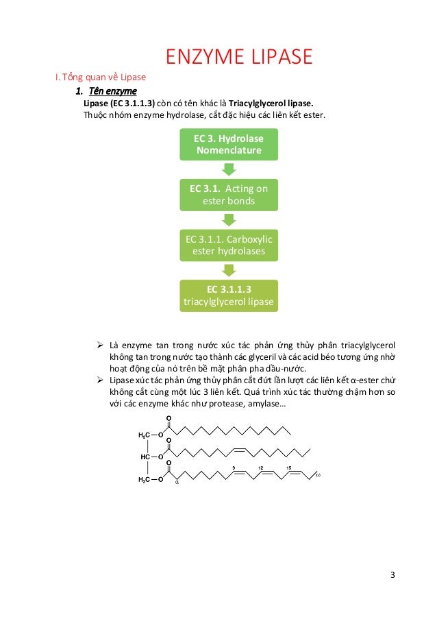 Công Nghệ enzyme LIPASE Lê Trí Kiểng