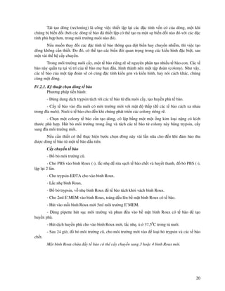 20
Tái t o dòng (recloning) là công vi c thi t l p l i các c tính v n có c a dòng, m t khi
chúng b bi n i (b i các dòng t bào ã thi t l p có th t o ra m t s bi n i nào ó v i các c
tính phù h p hơn, trong môi trư ng nuôi nào ó).
N u mu n thay i các c tính t bào thông qua t bi n hay chuy n nhi m, thì vi c t o
dòng không c n thi t. Do ó, có th t o các bi n i quan tr ng trong các ki u hình c bi t, sau
m t vài th h c y chuy n.
Trong môi trư ng nuôi c y, m t t bào riêng r s nguyên phân t o nhi u t bào con. Các t
bào này qu n t t i v trí c a t bào m ban u, hình thành nên m t t p oàn (colony). Như v y,
các t bào c a m t t p oàn s có cùng c tính ki u gen và ki u hình, hay nói cách khác, chúng
cùng m t dòng.
IV.2.1. K thu t ch n dòng t bào
Phương pháp ti n hành:
- Dùng dung d ch trypsin tách r i các t bào t ĩa nuôi c y, t o huy n phù t bào.
- C y t bào vào ĩa nuôi có môi trư ng m i v i m t th p ( các t bào cách xa nhau
trong ĩa nuôi). Nuôi t bào cho n khi chúng phát tri n các colony riêng r .
- Ch n m t colony t bào c n t o dòng, cô l p b ng m t m t ng kim lo i n ng có kích
thư c phù h p. Hút b môi trư ng trong ng và tách các t bào t colony này b ng trypsin, c y
sang ĩa môi trư ng m i.
N u c n thi t có th th c hi n bư c ch n dòng này vài l n n a cho n khi m b o thu
ư c dòng t bào t m t t bào u tiên.
C y chuy n t bào
- b môi trư ng cũ.
- Cho PBS vào bình Roux (-), l c nh r a s ch t bào ch t và huy t thanh, b PBS (-),
l p l i 2 l n.
- Cho trypsin-EDTA cho vào bình Roux.
- L c nh bình Roux.
- b trypsin, v nh bình Roux t bào tách kh i vách bình Roux.
- Cho 2ml E’MEM vào bình Roux, tráng u lên b m t bình Roux có t bào.
- Hút vào m i bình Roux m i 5ml môi trư ng E’MEM.
- Dùng pipette hút s c môi trư ng và phun u vào b m t bình Roux có t bào t o
huy n phù.
- Hút d ch huy n phù cho vào bình Roux m i, l c nh , 37,50
C trong t nuôi.
- Sau 24 gi , b môi trư ng cũ, cho môi trư ng m i vào lo i b trypsin và các t bào
ch t.
M t bình Roux ch a y t bào có th c y chuy n sang 3 ho c 4 bình Roux m i.
 