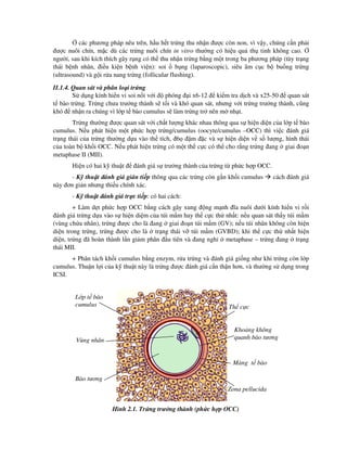 các phương pháp nêu trên, h u h t tr ng thu nh n ư c còn non, vì v y, chúng c n ph i
ư c nuôi chín, m c dù các tr ng nuôi chín in vitro thư ng có hi u qu th tinh không cao.
ngư i, sau khi kích thích gây r ng có th thu nh n tr ng b ng m t trong ba phương pháp (tùy tr ng
thái b nh nhân, i u ki n b nh vi n): soi b ng (laparoscopic), siêu âm c c b bu ng tr ng
(ultrasound) và g i r a nang tr ng (follicular flushing).
II.1.4. Quan sát và phân lo i tr ng
S d ng kính hi n vi soi n i v i phóng i x6-12 ki m tra d ch và x25-50 quan sát
t bào tr ng. Tr ng chưa trư ng thành s t i và khó quan sát, nhưng v i tr ng trư ng thành, cũng
khó nh n ra chúng vì l p t bào cumulus s làm tr ng tr nên m nh t.
Tr ng thư ng ư c quan sát v i ch t lư ng khác nhau thông qua s hi n di n c a l p t bào
cumulus. N u phát hi n m t ph c h p tr ng/cumulus (oocyte/cumulus –OCC) thì vi c ánh giá
tr ng thái c a tr ng thư ng d a vào th tích, 6 m c và s hi n di n v s lư ng, hình thái
c a toàn b kh i OCC. N u phát hi n tr ng có m t th c c có th cho r ng tr ng ang giai o n
metaphase II (MII).
Hi n có hai k thu t ánh giá s trư ng thành c a tr ng t ph c h p OCC.
- K thu t ánh giá gián ti p thông qua các tr ng còn g n kh i cumulus cách ánh giá
này ơn gi n nhưng thi u chính xác.
- K thu t ánh giá tr c ti p: có hai cách:
+ Làm d t ph c h p OCC b ng cách gây xung ng m nh ĩa nuôi dư i kính hi n vi r i
ánh giá tr ng d a vào s hi n di m c a túi m m hay th c c th nh t: n u quan sát th y túi m m
(vùng ch a nhân), tr ng ư c cho là ang giai o n túi m m (GV); n u túi nhân không còn hi n
di n trong tr ng, tr ng ư c cho là tr ng thái v túi m m (GVBD); khi th c c th nh t hi n
di n, tr ng ã hoàn thành l n gi m phân u tiên và ang ngh metaphase – tr ng ang tr ng
thái MII.
+ Phân tách kh i cumulus b ng enzym, r a tr ng và ánh giá gi ng như khi tr ng còn l p
cumulus. Thu n l i c a k thu t này là tr ng ư c ánh giá c n th n hơn, và thư ng s d ng trong
ICSI.
Hình 2.1. Tr ng trư ng thành (ph c h p OCC)
Kho ng không
quanh bào tương
L p t bào
cumulus Th c c
Zona pellucida
Bào tương
Màng t bào
Vùng nhân
 