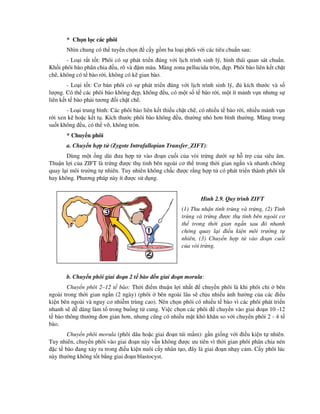 * Ch n l c các phôi
Nhìn chung có th tuy n ch n c y g m ba lo i phôi v i các tiêu chu n sau:
- Lo i r t t t: Phôi có s phát tri n úng v i l ch trình sinh lý, hình thái quan sát chu n.
Kh i phôi bào phân chia u, rõ và m màu. Màng zona pellucida tròn, p. Phôi bào liên k t ch t
ch , không có t bào r i, không có k gian bào.
- Lo i t t: Cơ b n phôi có s phát tri n úng v i l ch trình sinh lý, kích thư c và s
lư ng. Có th các phôi bào không p, không u, có m t s t bào r i, m t ít m nh v n nhưng s
liên k t t bào ph i tương i ch t ch .
- Lo i trung bình: Các phôi bào liên k t thi u ch t ch , có nhi u t bào r i, nhi u m nh v n
r i xen k ho c k t t . Kích thư c phôi bào không u, thư ng nh hơn bình thư ng. Màng trong
su t không u, có th v , không tròn.
* Chuy n phôi
a. Chuy n h p t (Zygote Intrafallopian Transfer_ZIFT):
Dùng m t ng dài ưa h p t vào o n cu i c a vòi tr ng dư i s h tr c a siêu âm.
Thu n l i c a ZIFT là tr ng ư c th tinh bên ngoài cơ th trong th i gian ng n và nhanh chóng
quay l i môi trư ng t nhiên. Tuy nhiên không ch c ư c r ng h p t có phát tri n thành phôi t t
hay không. Phương pháp này ít ư c s d ng.
Hình 2.9. Quy trình ZIFT
(1) Thu nh n tinh trùng và tr ng, (2) Tinh
trùng và tr ng ư c th tinh bên ngoài cơ
th trong th i gian ng n sau ó nhanh
chóng quay l i i u ki n môi trư ng t
nhiên, (3) Chuy n h p t vào o n cu i
c a vòi tr ng.
b. Chuy n phôi giai o n 2 t bào n giai o n morula:
Chuy n phôi 2–12 t bào: Th i i m thu n l i nh t chuy n phôi là khi phôi ch bên
ngoài trong th i gian ng n (2 ngày) (phôi bên ngoài lâu s ch u nhi u nh hư ng c a các i u
ki n bên ngoài và nguy cơ nhi m trùng cao). Nên ch n phôi có nhi u t bào vì các phôi phát tri n
nhanh s d dàng làm t trong bu ng t cung. Vi c ch n các phôi chuy n vào giai o n 10 -12
t bào thông thư ng ơn gi n hơn, nhưng cũng có nhi u m t khó khăn so v i chuy n phôi 2 - 4 t
bào.
Chuy n phôi morula (phôi dâu ho c giai o n túi m m): g n gi ng v i i u ki n t nhiên.
Tuy nhiên, chuy n phôi vào giai o n này v n không ư c ưu tiên vì th i gian phôi phân chia nén
c t bào ang x y ra trong i u ki n nuôi c y nhân t o, ây là giai o n nh y c m. C y phôi lúc
này thư ng không t t b ng giai o n blastocyst.
 