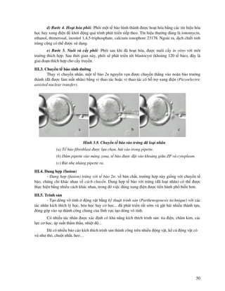50
d) Bư c 4. Ho t hóa phôi: Phôi m t t bào hình thành ư c ho t hóa b ng các tín hi u hóa
h c hay xung i n kh i ng quá trình phát tri n ti p theo. Tín hi u thư ng dùng là ionomycin,
ethanol, thimerosal, inositol 1,4,5-triphosphate, calcium ionophore 23178. Ngoài ra, d ch chi t tinh
trùng cũng có th ư c s d ng.
e) Bư c 5. Nuôi và c y phôi: Phôi sau khi ã ho t hóa, ư c nuôi c y in vitro v i môi
trư ng thích h p. Sau th i gian này, phôi s phát tri n t i blastocyst (kho ng 120 t bào), ây là
giai o n thích h p cho c y truy n.
III.3. Chuy n t bào sinh dư ng
Thay vì chuy n nhân, m t t bào 2n nguyên v n ư c chuy n th ng vào noãn bào trư ng
thành ( ã ư c làm m t nhân) b ng vi thao tác ho c vi thao tác có h tr xung i n (Piezoelectric
assisted nuclear transfer).
Hình 3.8. Chuy n t bào vào tr ng ã lo i nhân
(a) T bào fibroblast ư c l a ch n, hút vào trong pipette.
(b) âm pipette vào màng zona, t bào ư c t vào kho ng gi a ZP và cytoplasm.
(c) Rút nh nhàng pipette ra.
III.4. Dung h p (fusion)
- Dung h p (fusion) tr ng v i t bào 2n: v b n ch t, trư ng h p này gi ng v i chuy n t
bào, chúng ch khác nhau v cách chuy n. Dung h p t bào v i tr ng ( ã lo i nhân) có th ư c
th c hi n b ng nhi u cách khác nhau, trong ó vi c dùng xung i n ư c ti n hành ph bi n hơn.
III.5. Trinh s n
- T o dòng vô tính ng v t b ng k thu t trinh s n (Parthenogenesis technique) v i các
tác nhân kích thích lý h c, hóa h c hay cơ h c... ã phát tri n r t s m và g t hái nhi u thành t u,
óng góp vào s thành công chung c a lĩnh v c t o dòng vô tính.
Có nhi u tác nhân ư c xác nh có kh năng kích thích trinh s n: tia i n, châm kim, các
l c cơ h c, áp su t th m th u, nhi t ...
ã có nhi u báo cáo kích thích trinh s n thành công trên nhi u ng v t, k c ng v t có
vú như th , chu t nh t, heo…
a b c
 