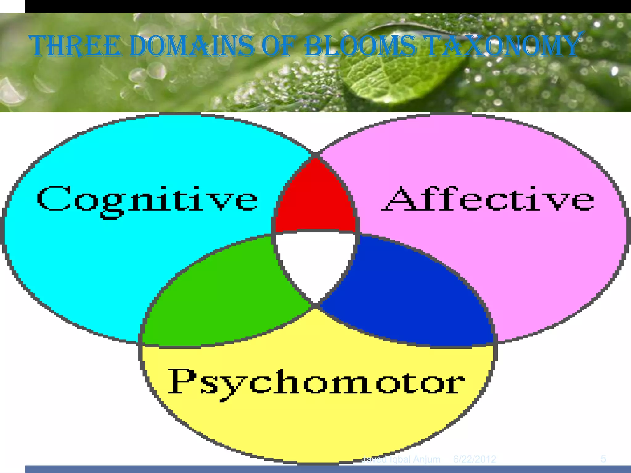Three Domains of Blooms Taxonomy
           Powerpoint Template




                   Javed Iqbal Anjum   6/22/2012   Page 5
                                                        5
 