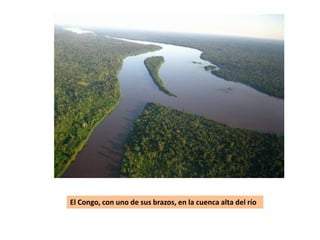 El Congo, con uno de sus brazos, en la cuenca alta del río