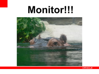 Monitor!!!
 