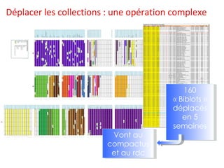 Déplacer les collections : une opération complexe 160 « Biblots » déplacés en 5 semaines Vont au compactus et au rdc 