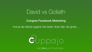 David vs Goliath
Congres Facebook Marketing
hoe je als kleine pagina het beter doet dan de grote…
 