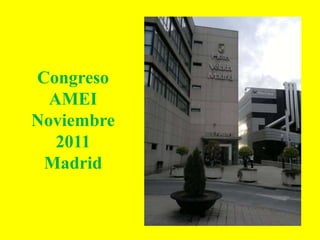 Congreso
  AMEI
Noviembre
   2011
 Madrid
 
