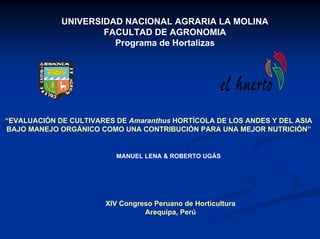 UNIVERSIDAD NACIONAL AGRARIA LA MOLINA
                     FACULTAD DE AGRONOMIA
                       Programa de Hortalizas




“EVALUACIÓN DE CULTIVARES DE Amaranthus HORTÍCOLA DE LOS ANDES Y DEL ASIA
BAJO MANEJO ORGÁNICO COMO UNA CONTRIBUCIÓN PARA UNA MEJOR NUTRICIÓN”


                          MANUEL LENA & ROBERTO UGÁS




                       XIV Congreso Peruano de Horticultura
                                 Arequipa, Perú
 