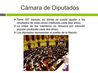 Cámara de Diputados 
 Tiene 257 bancas, en donde se puede ajustar a los 
resultados de cada censo (realizado cada diez años). 
 La mitad de los miembros se renueva por elección 
popular (realizado cada dos años). 
 Los diputados representan al pueblo de la Nación. 
 